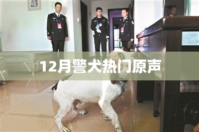 警犬热门原声揭秘，探秘警犬世界的秘密