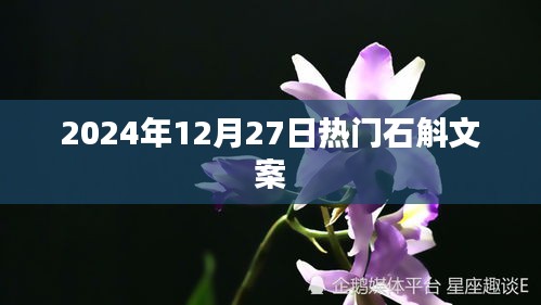 石斛盛宴，2024年年终盛事，尽享冬日养生盛宴