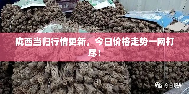 草率收兵 第3页