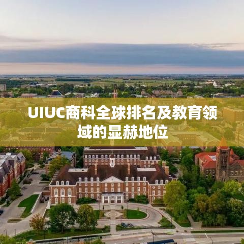 UIUC商科全球排名及教育领域的显赫地位