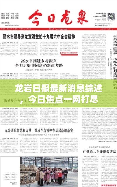 龙岩日报最新消息综述，今日焦点一网打尽