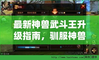 最新神兽武斗王升级指南，驯服神兽与战斗策略全解析