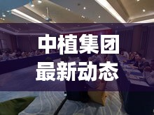 中植集团最新动态新闻速递