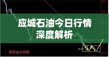 应城石油今日行情深度解析