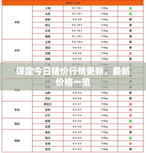 保定今日猪价行情更新，最新价格一览