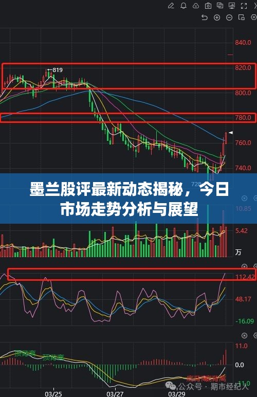 墨兰股评最新动态揭秘，今日市场走势分析与展望