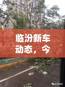 临汾新车动态，今日最新消息一网打尽！