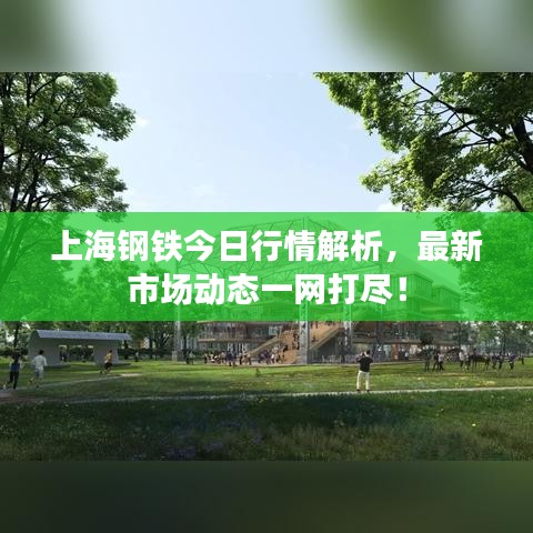 上海钢铁今日行情解析，最新市场动态一网打尽！