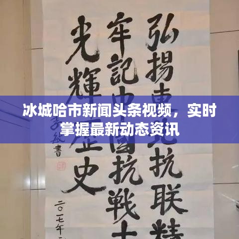 冰城哈市新闻头条视频，实时掌握最新动态资讯