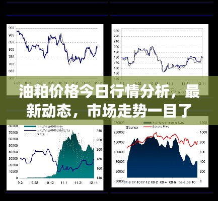 油粕价格今日行情分析，最新动态，市场走势一目了然！