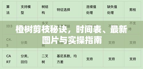 橙树剪枝秘诀，时间表、最新图片与实操指南