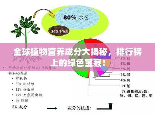 全球植物营养成分大揭秘，排行榜上的绿色宝藏！