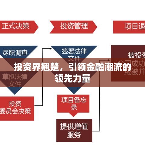 投资界翘楚，引领金融潮流的领先力量