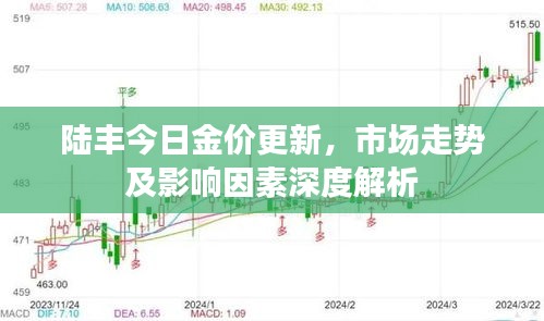 陆丰今日金价更新，市场走势及影响因素深度解析