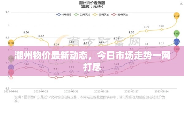 潮州物价最新动态，今日市场走势一网打尽