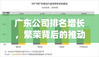 广东公司排名增长，繁荣背后的推动力量揭秘！