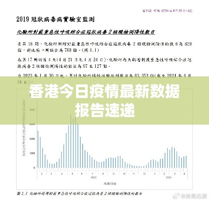 香港今日疫情最新数据报告速递