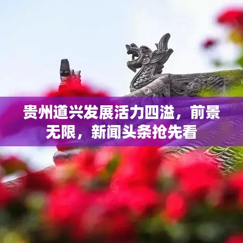 贵州道兴发展活力四溢，前景无限，新闻头条抢先看