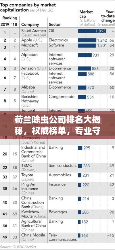 荷兰除虫公司排名大揭秘，权威榜单，专业守护健康！