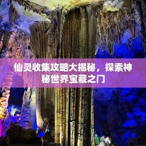 仙灵收集攻略大揭秘，探索神秘世界宝藏之门