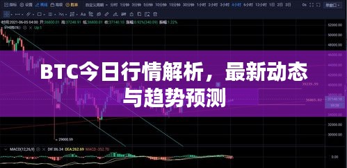 BTC今日行情解析，最新动态与趋势预测