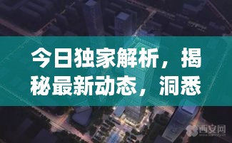 今日独家解析，揭秘最新动态，洞悉市场先机