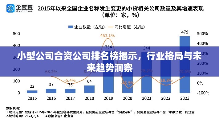 小型公司合资公司排名榜揭示，行业格局与未来趋势洞察