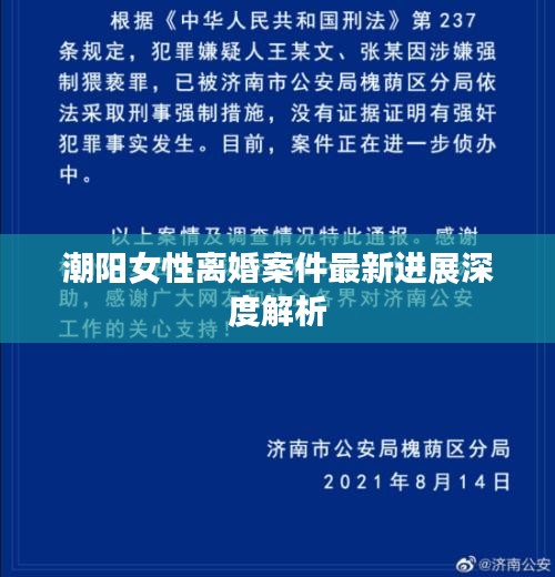 潮阳女性离婚案件最新进展深度解析