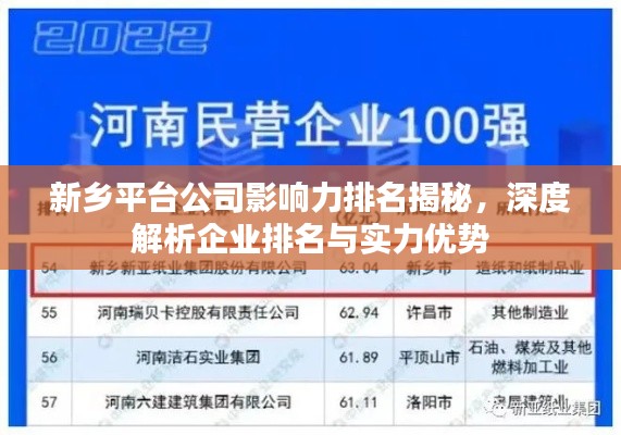 新乡平台公司影响力排名揭秘，深度解析企业排名与实力优势