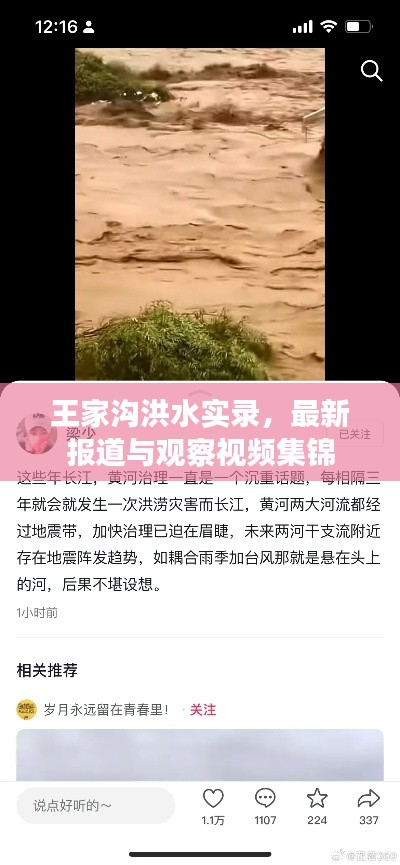 王家沟洪水实录，最新报道与观察视频集锦