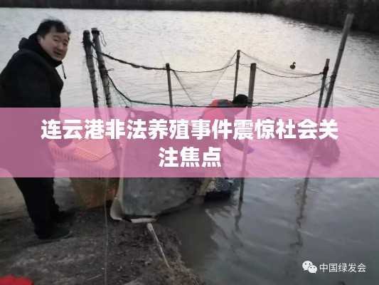 连云港非法养殖事件震惊社会关注焦点