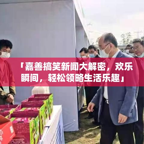「嘉善搞笑新闻大解密，欢乐瞬间，轻松领略生活乐趣」