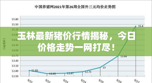 玉林最新猪价行情揭秘，今日价格走势一网打尽！