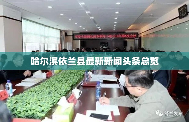 哈尔滨依兰县最新新闻头条总览