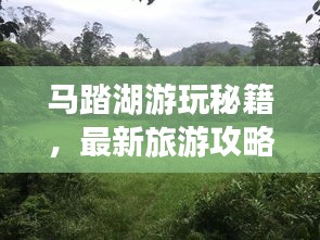 马踏湖游玩秘籍，最新旅游攻略全解析