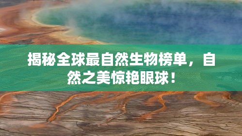揭秘全球最自然生物榜单，自然之美惊艳眼球！