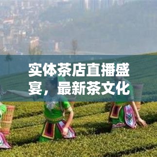 实体茶店直播盛宴，最新茶文化体验全攻略