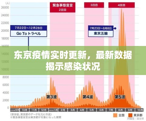 东京疫情实时更新，最新数据揭示感染状况