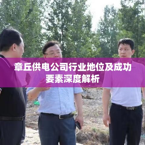 章丘供电公司行业地位及成功要素深度解析