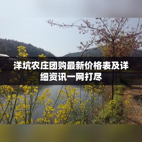洋坑农庄团购最新价格表及详细资讯一网打尽