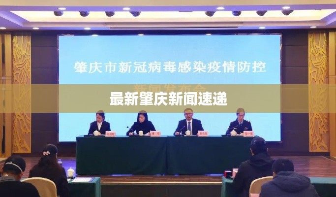 最新肇庆新闻速递