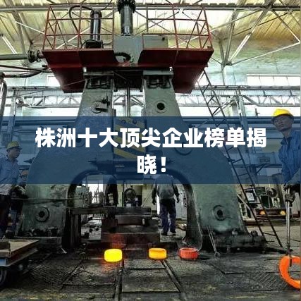 株洲十大顶尖企业榜单揭晓！