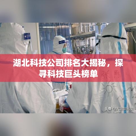 湖北科技公司排名大揭秘，探寻科技巨头榜单