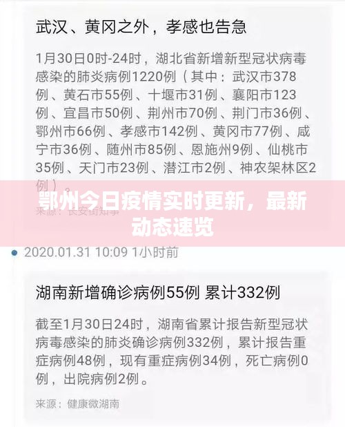 鄂州今日疫情实时更新，最新动态速览