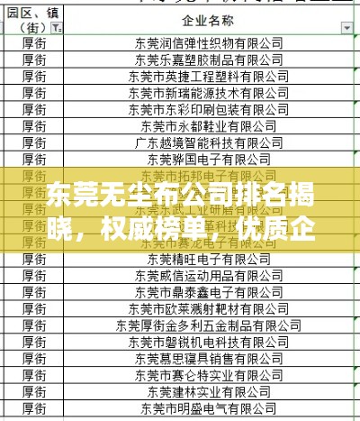 东莞无尘布公司排名揭晓，权威榜单，优质企业一览无余！