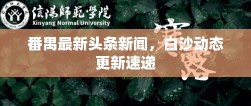 番禺最新头条新闻，白沙动态更新速递