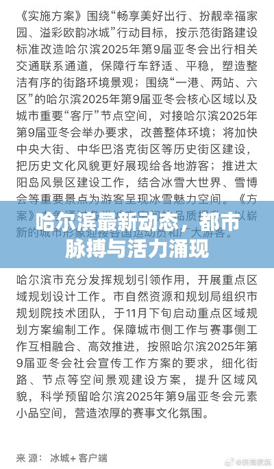 哈尔滨最新动态，都市脉搏与活力涌现