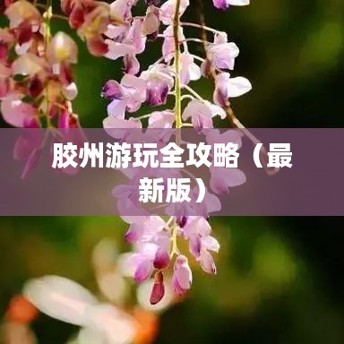 胶州游玩全攻略（最新版）