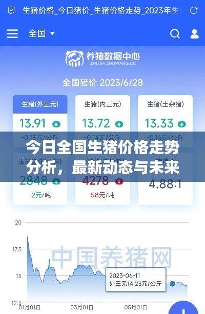 今日全国生猪价格走势分析，最新动态与未来展望