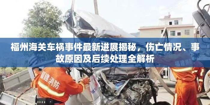 福州海关车祸事件最新进展揭秘，伤亡情况、事故原因及后续处理全解析